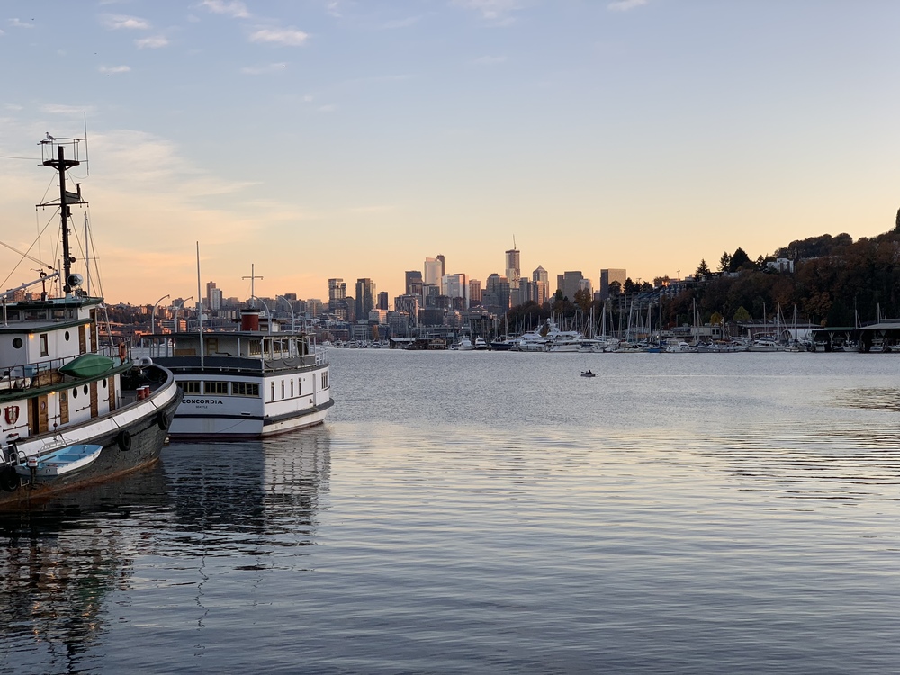 seattleskyline.jpeg