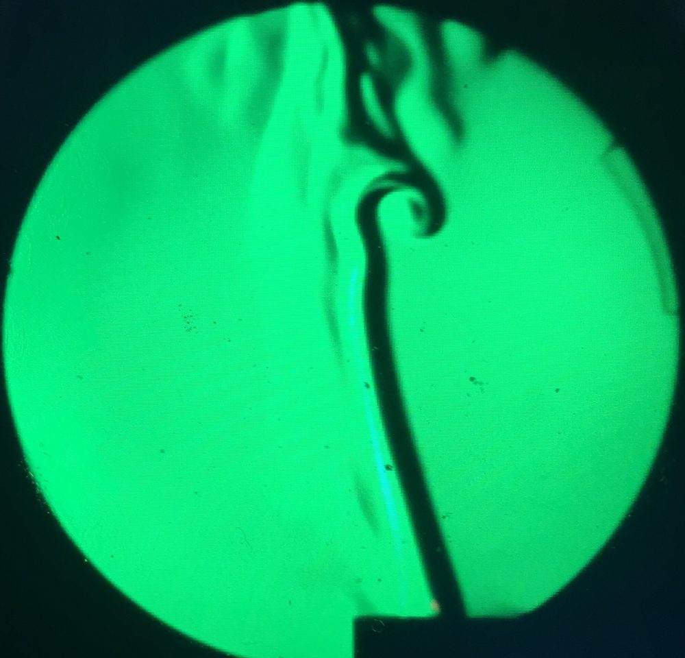 Green schlieren image showing a dark plume of rising air curling into a vortex